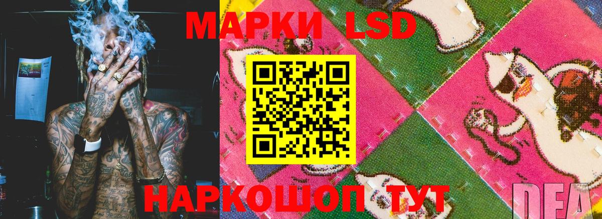 Марки NBOMe  Марки N-bome 1500мкг  Вход с VPN  Сунжа  Марки N-bome 1500мкг 