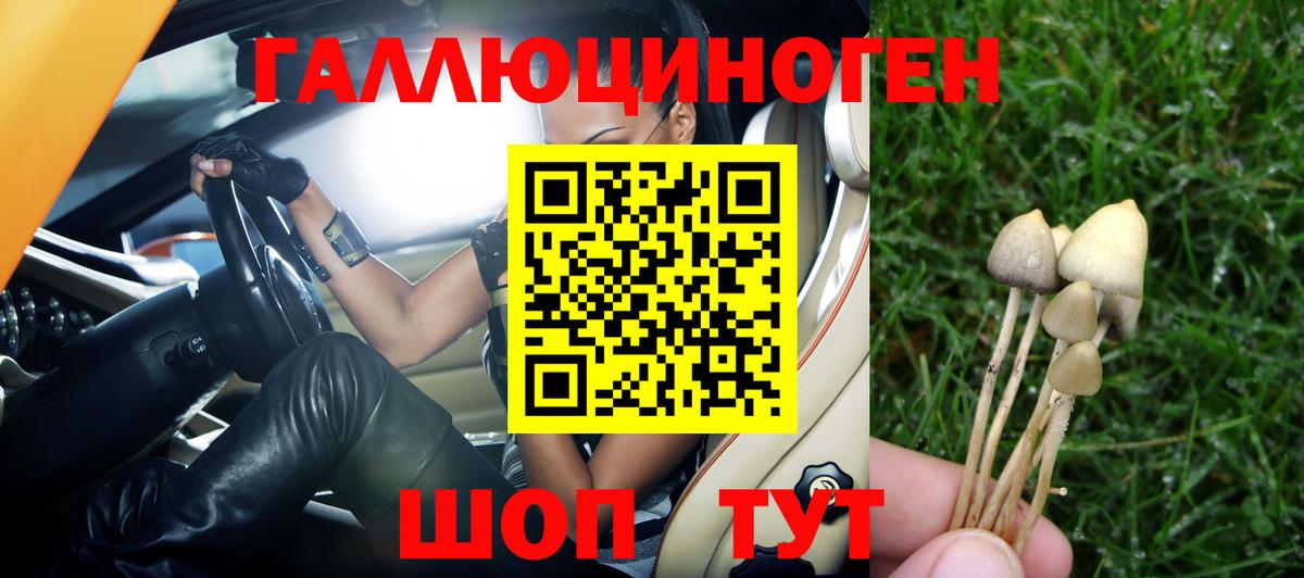 Сунжа  Псилоцибиновые грибы MAGIC MUSHROOMS  Псилоцибиновые грибы Magic Shrooms  Вход с VPN 